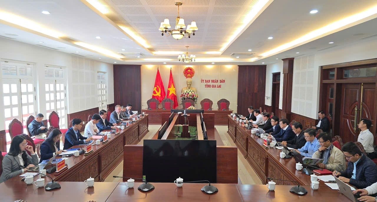 Tin vui cho Gia Lai: Liên doanh DHN muốn mở rộng dự án nông nghiệp công nghệ cao trên địa bàn