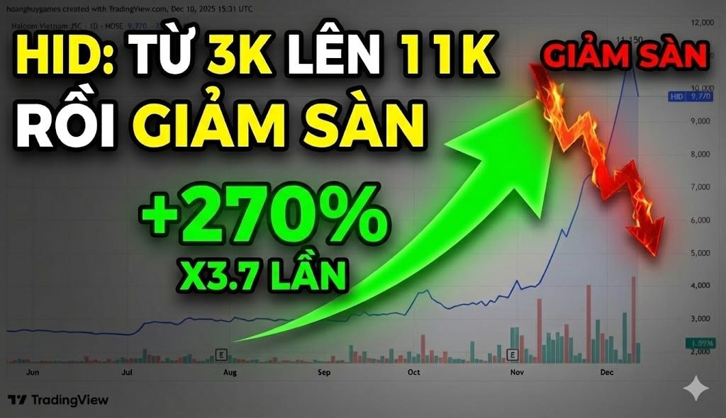 Biến lớn tại công ty sở hữu Nhà máy điện gió 9.000 tỷ tại Quảng Trị
