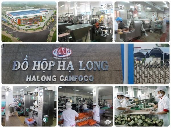 Đồ hộp Hạ Long (CAN) đầu tư hơn 166 tỷ đồng để đầu tư nhà máy mới tại Hải Phòng