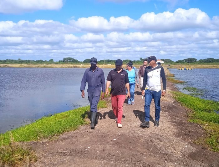 Hơn 120 ngày thử nghiệm, 'sản vật tỷ USD' của Việt Nam gây bất ngờ lớn tại Cuba