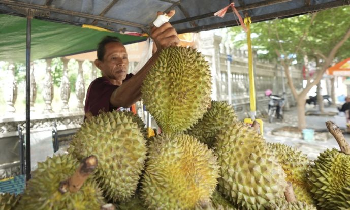 Quốc gia trồng 20.000 ha sầu riêng chính thức được xuất khẩu tươi vào Trung Quốc, cạnh tranh với Thái Lan, Việt Nam