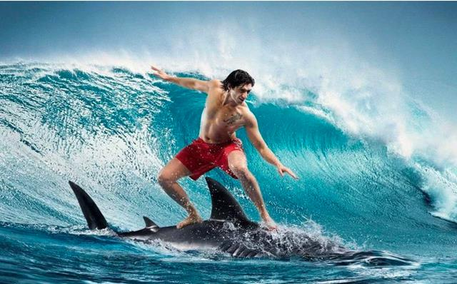 VN-Index bật tăng sau cú rơi 100 điểm: Chuyên gia chỉ ra tín hiệu quan trọng nhận biết thị trường tạo đáy