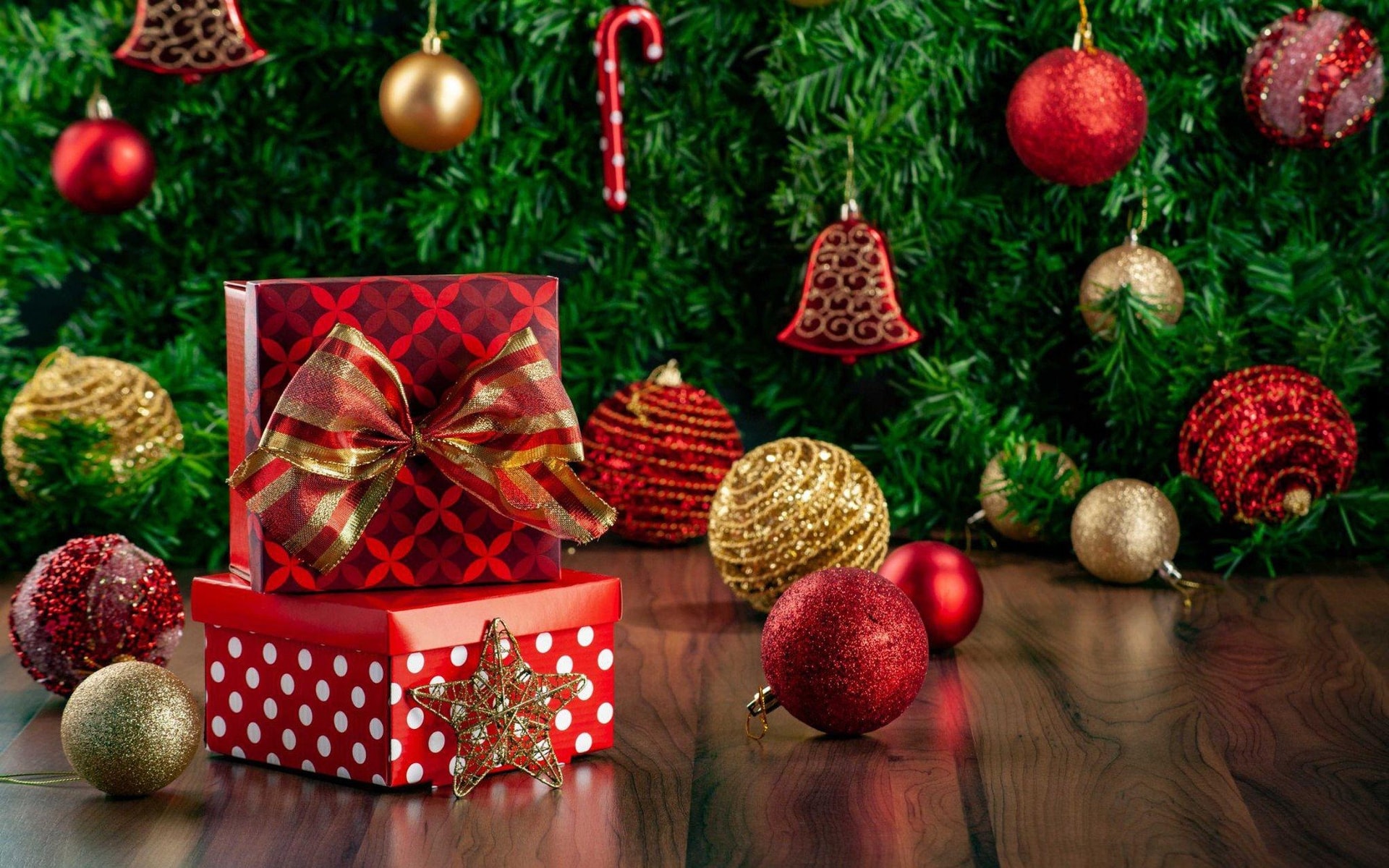 Một tấm vé, một khoảng lặng, một món quà dành cho chính mình