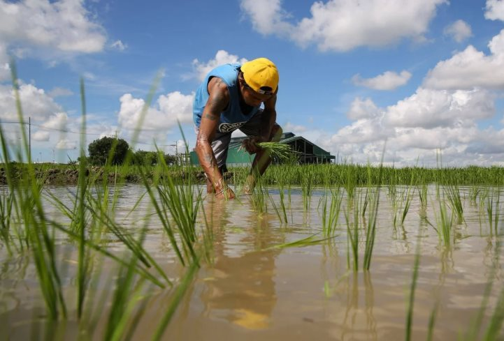 Việt Nam, Thái Lan chú ý: Philippines có động thái mới với nhập khẩu gạo từ 1/1/2026