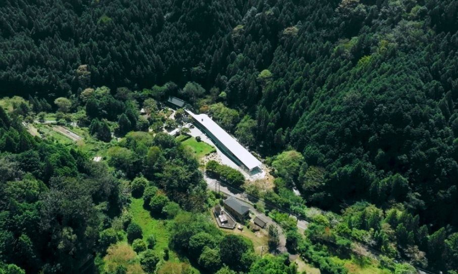 Đôi vợ chồng chi hơn 12 tỷ đồng mua mảnh đất 16.000m2 để nghỉ hưu sớm: “1 năm sau tôi phải quay lại thành phố, mọi thứ khác xa tưởng tượng”