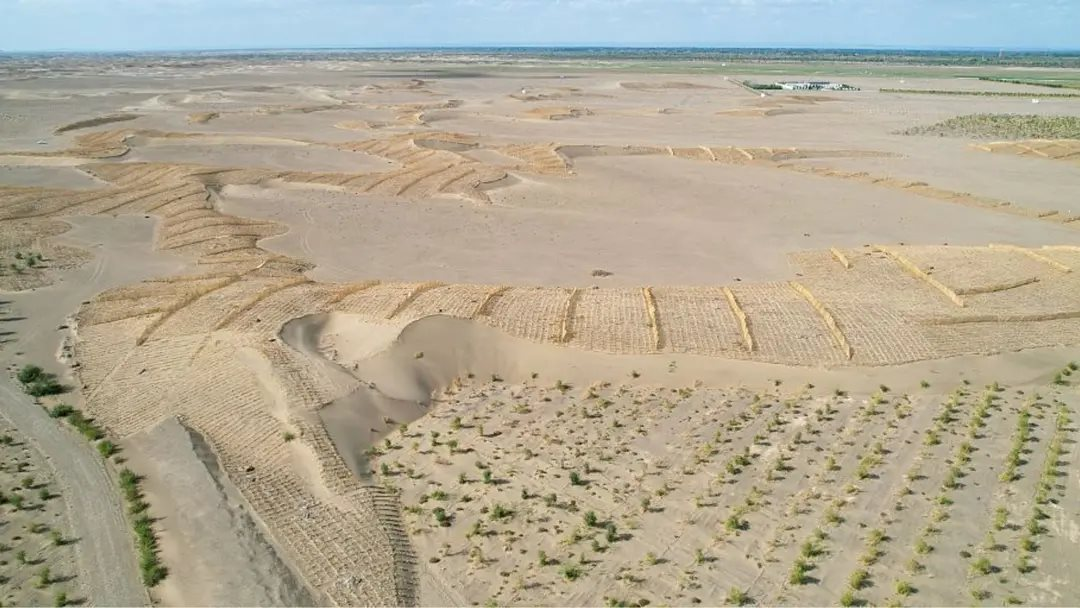 Phát minh chưa từng có trên thế giới của Trung Quốc: Không cần trồng cây vẫn phục hồi hàng nghìn hecta sa mạc, hiệu quả cao nhưng chi phí thấp