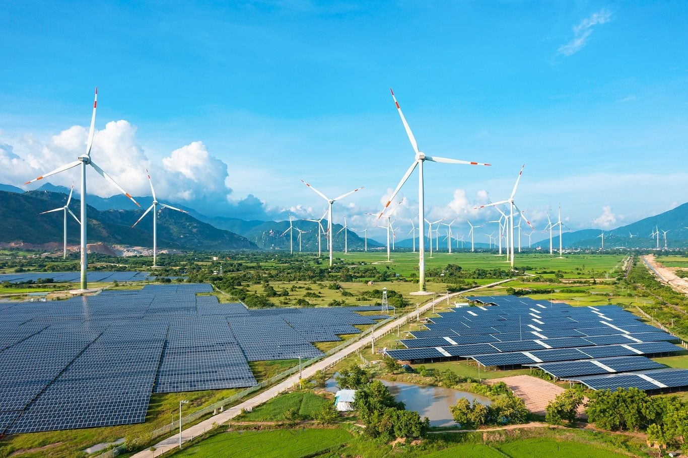 Trung Nam báo tin vui