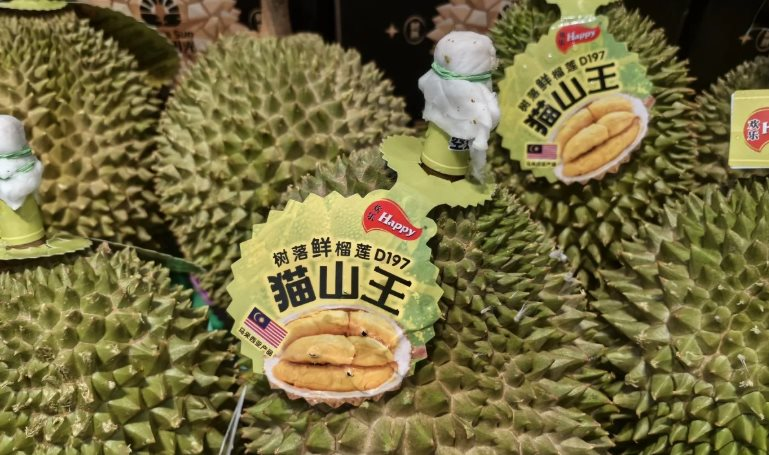 Sầu riêng tại một quốc gia Đông Nam Á bất ngờ gặp khó: Nguồn cung dư thừa khiến giá giảm mạnh, vừa tăng nhập khẩu từ Việt Nam gấp 5 lần