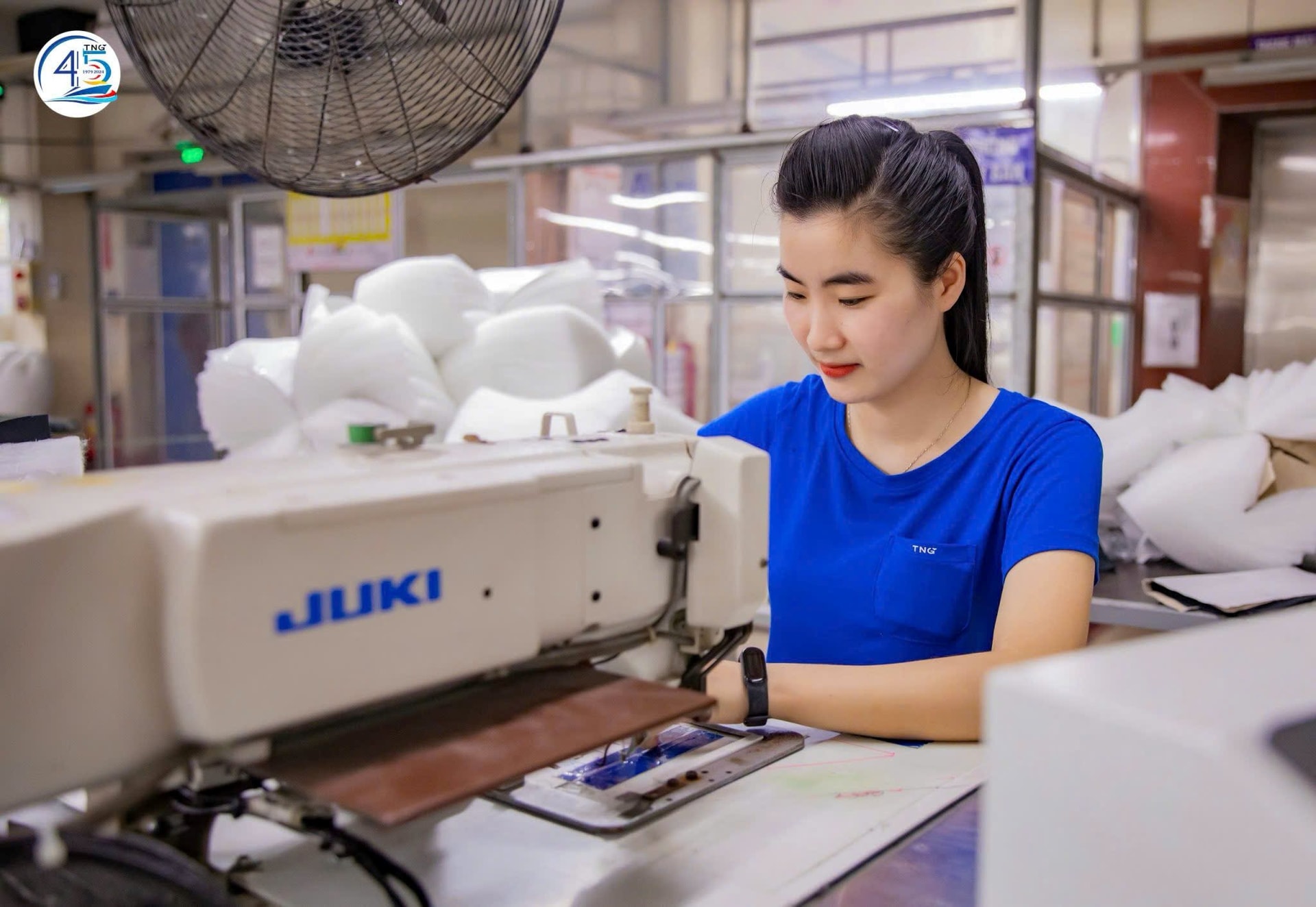 Nhờ đâu TNG đạt lợi nhuận quý 4 tăng 50% so với cùng kỳ?