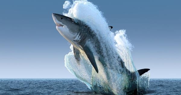 Giám đốc Đầu tư VinaCapital hé lộ hai nhóm cổ phiếu từng bị “bỏ quên” năm 2025 sẽ có "đất diễn" trong năm nay