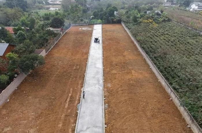 Tự ý phân lô, bán nền trên đất nông trường tại xã Phú Cát - TP. Hà Nội