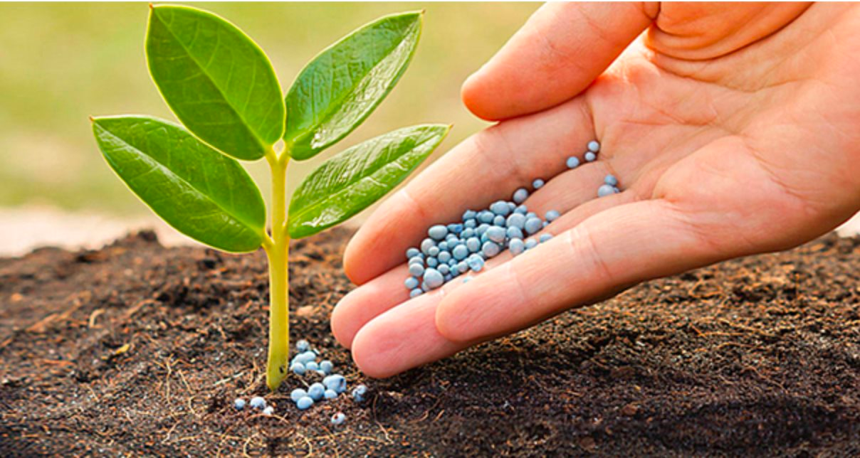 Cổ phiếu phân bón bứt phá, VN-Index giằng co mất gần 3 điểm cuối phiên