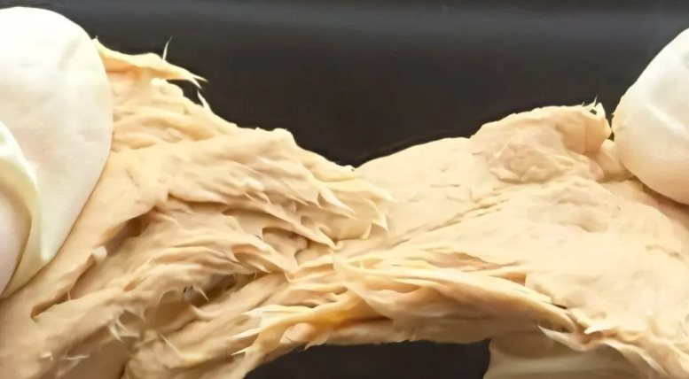 Phát minh của Trung Quốc làm rung chuyển ngành thực phẩm: Chế tạo ra nấm biến đổi gen vị giống thịt, sử dụng ít hơn 70% đất so với chăn nuôi truyền thống