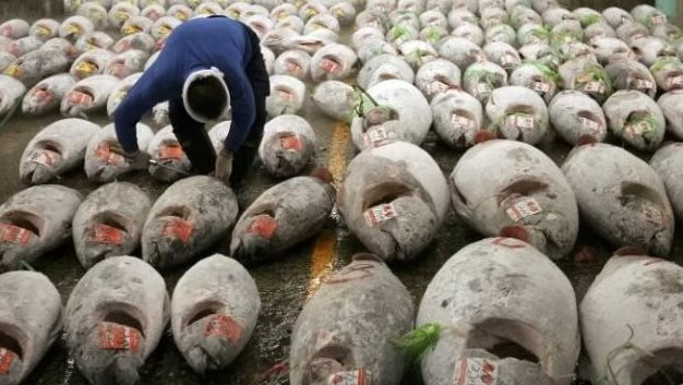 Không phải sầu riêng, một ‘siêu thực phẩm’ của Việt Nam được Mỹ và châu Âu cực ưa chuộng: Thu về 924 triệu USD, nước ta xuất khẩu đứng top thế giới
