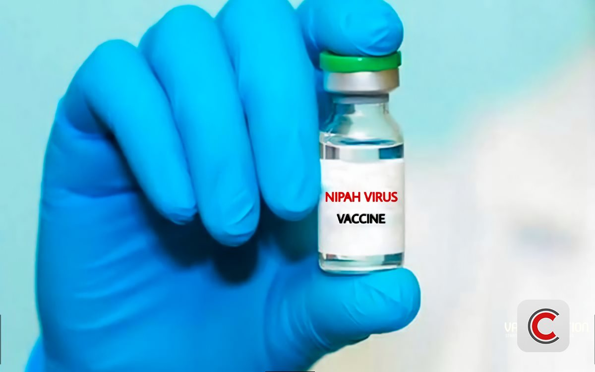 Nipah: Tại sao dịch bệnh có tỷ lệ tử vong 40-75% vẫn chưa có vaccine sau 20 năm phát hiện?