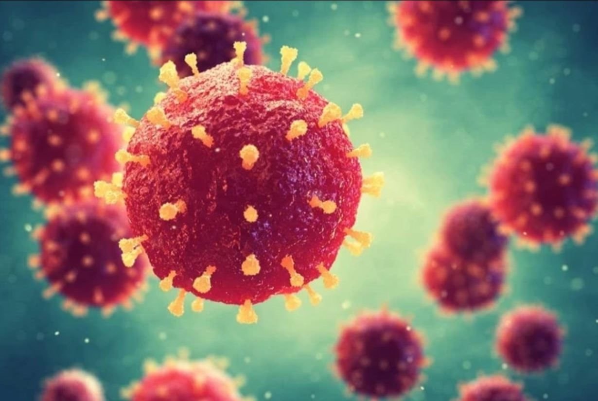 Bộ Y tế khuyến cáo liên quan đến dịch bệnh do virus Nipah