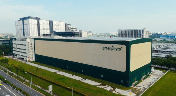 Không phải Trung Quốc hay Nhật Bản, một quốc gia châu Á làm trang trại trong nhà cao nhất thế giới: Có thể chứa 1,2 triệu cây rau, sản lượng 2.000 tấn mỗi năm