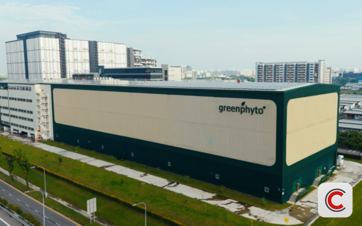 Kỳ tích của 1 'trùm nông nghiệp' ĐNÁ: Xây trang trại trong nhà cao nhất thế giới, công suất 2.000 tấn rau/năm, robot tự gieo hạt, chỉnh nhiệt 