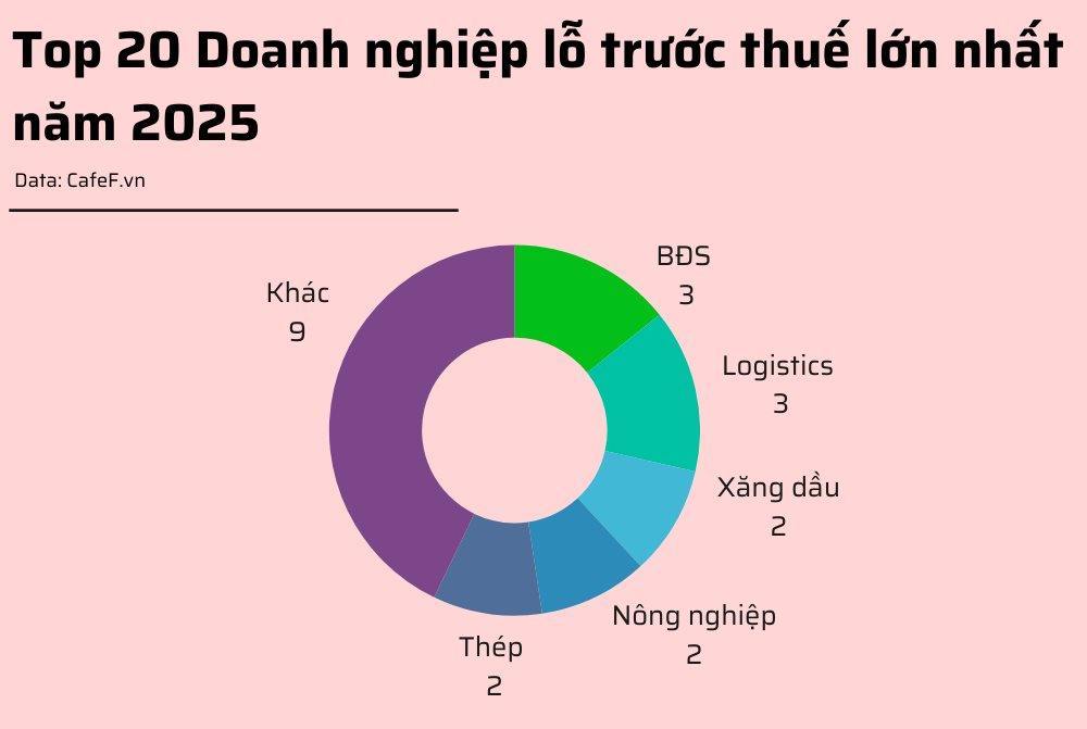 20 doanh nghiệp lỗ trước thuế lớn nhất năm 2025: HAGL Agrico lỗ gần 1.000 tỷ, bất động sản, logistics chiếm sóng