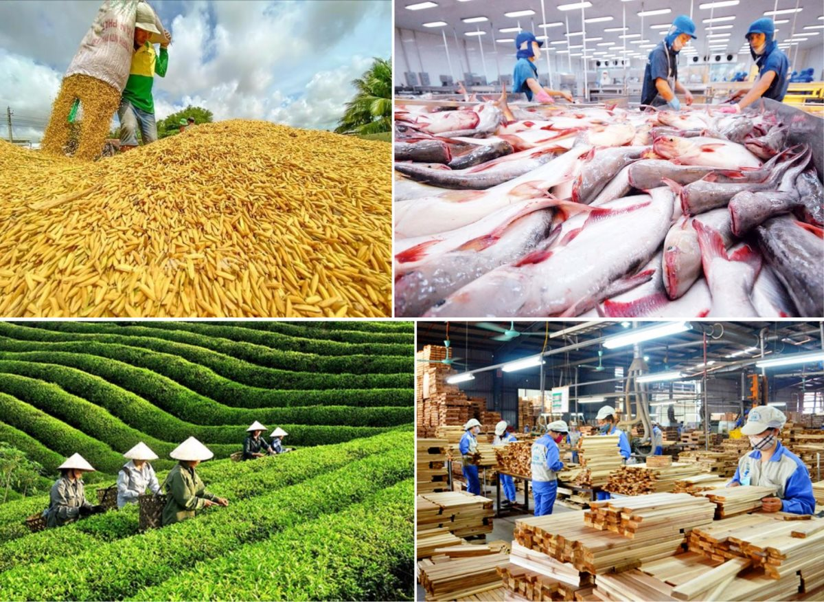 Tin vui về xuất khẩu nông, lâm, thủy sản trong tháng đầu năm 2026