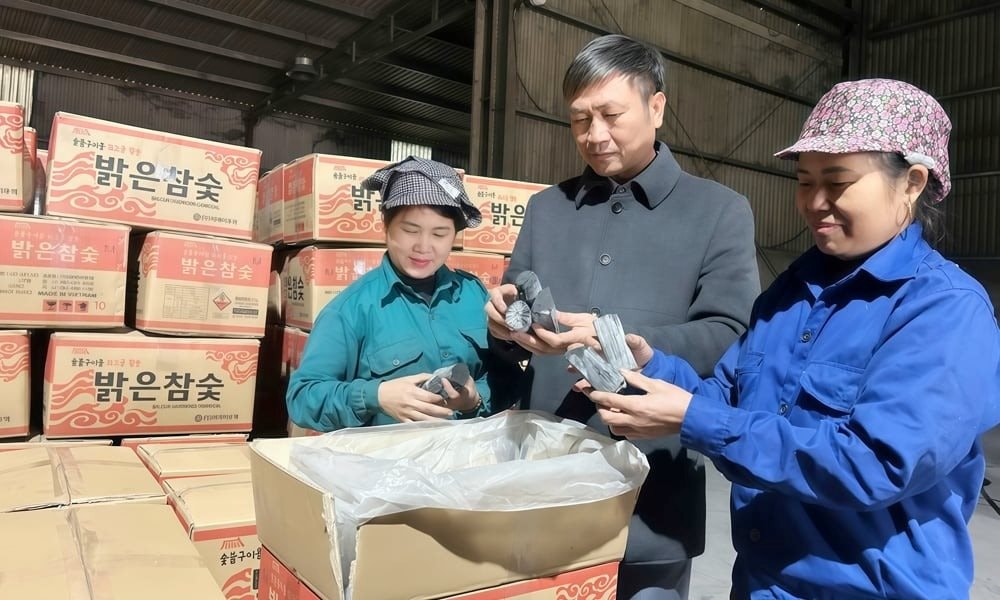 Ông chủ Bắc Ninh thu 40 tỷ đồng/năm nhờ biến cành củi khô thành thỏi 'vàng đen' không khói 