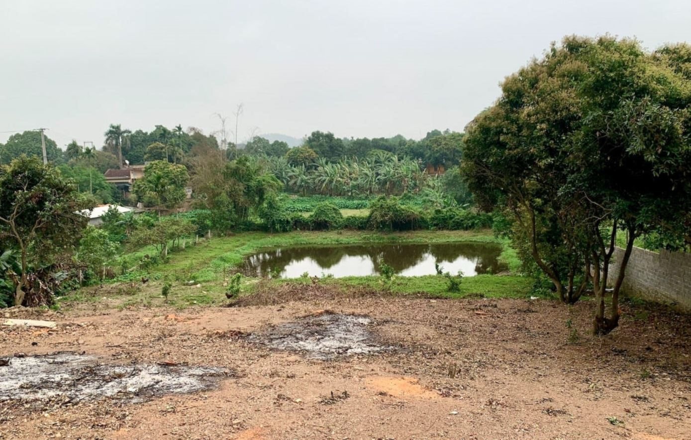 Bộ NN&MT phản hồi về việc xin “lên thổ cư” 500m2 đất vườn mua giấy tờ xã từ năm 1995