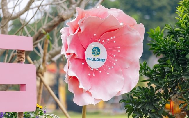 Từ Hà Nội đến TP.HCM: Phú Long và dấu ấn văn hóa trong mùa xuân hội nhập