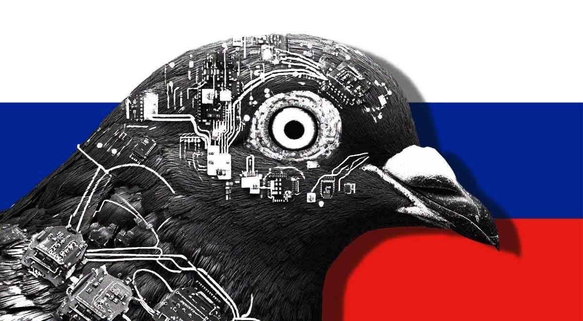 russia-pigeon-drones.jpg
