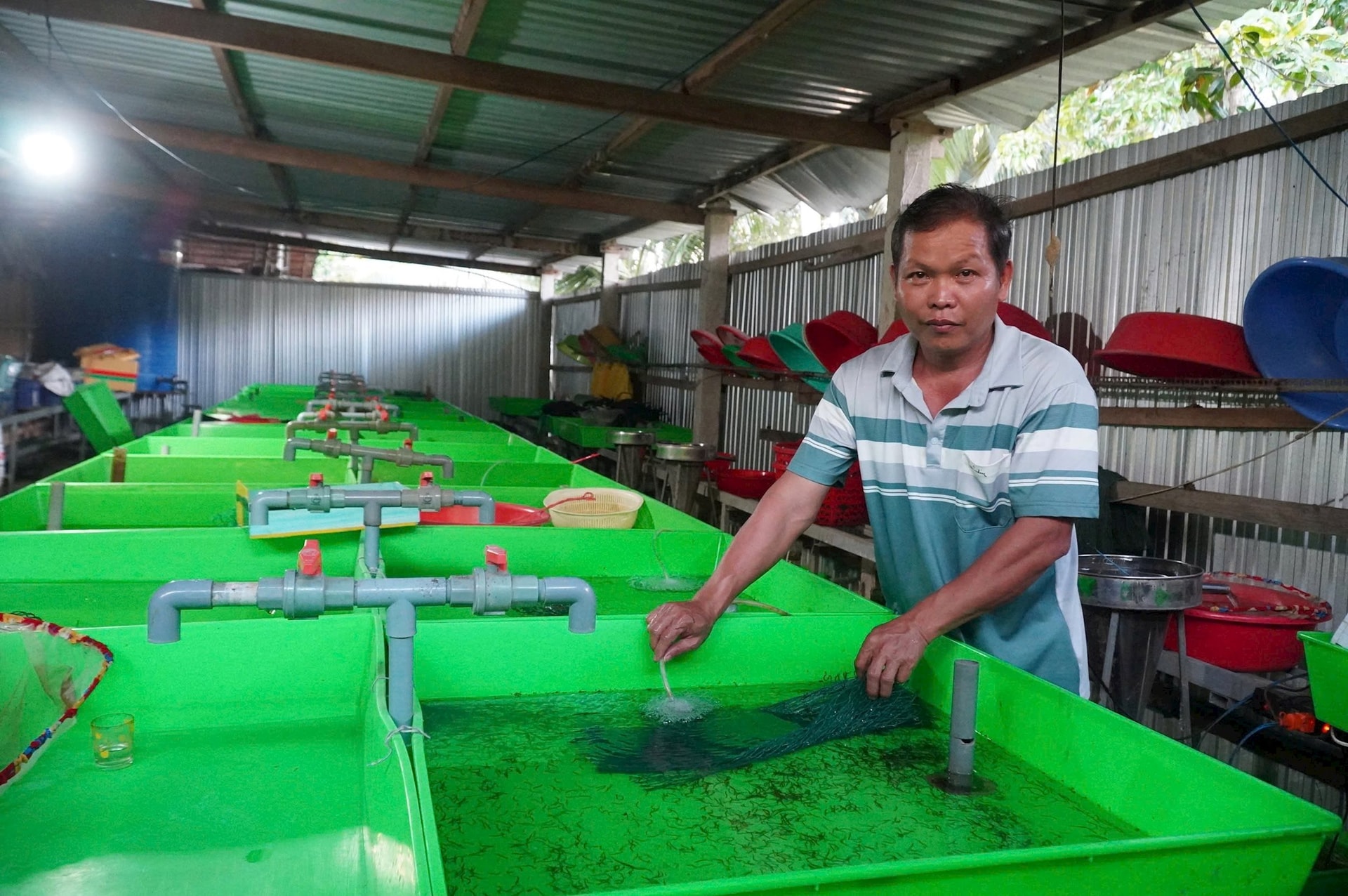 Thầy giáo dạy Sinh thu 2 tỷ đồng/năm từ bầy "quái vật" không vảy trong bóng tối