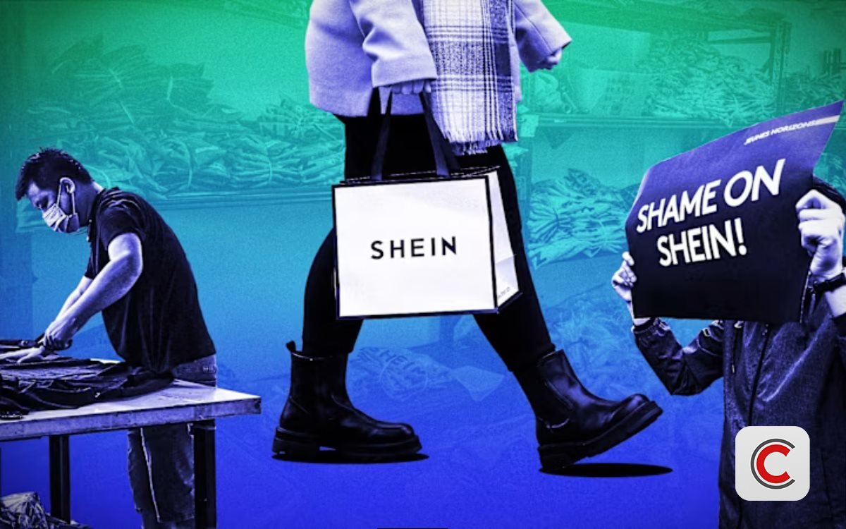 Hãng thời trang nổi tiếng bị hải quan truy quét thuế, 300.000 kiện hàng bị kiểm tra, đối mặt án phạt tiền tỷ