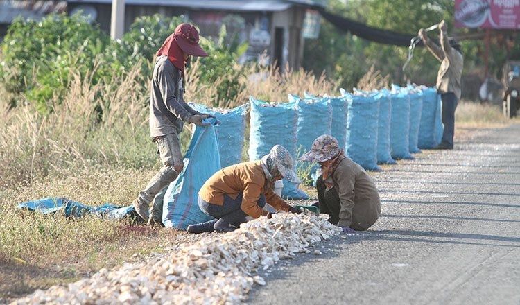 Bị Thái Lan quay lưng với sản phẩm chủ lực, dân Campuchia như ‘ngồi trên đống lửa’, than trời vì bán phá giá cũng ế người mua  