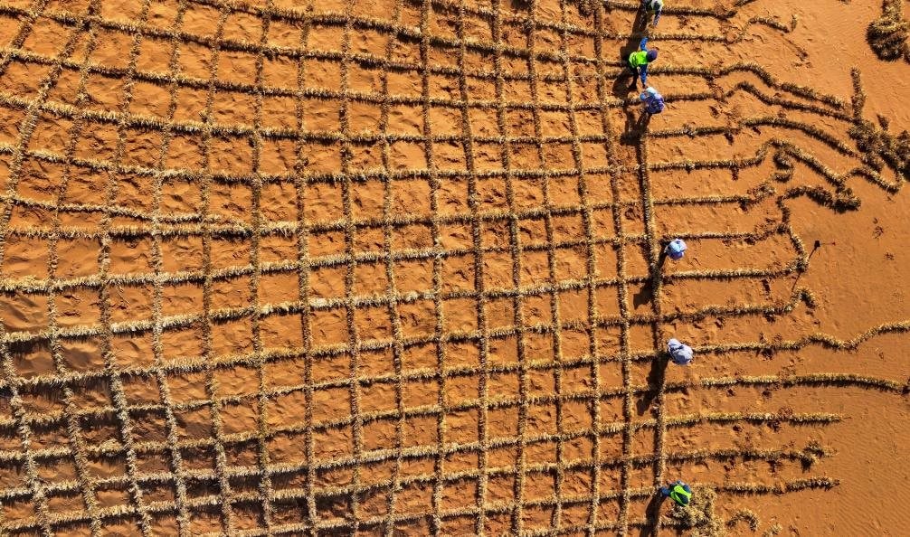 Phát minh chưa từng có trên thế giới của Trung Quốc: biến sa mạc thành đất màu mỡ chỉ trong 10 tháng, hiệu quả cao nhưng chi phí thấp