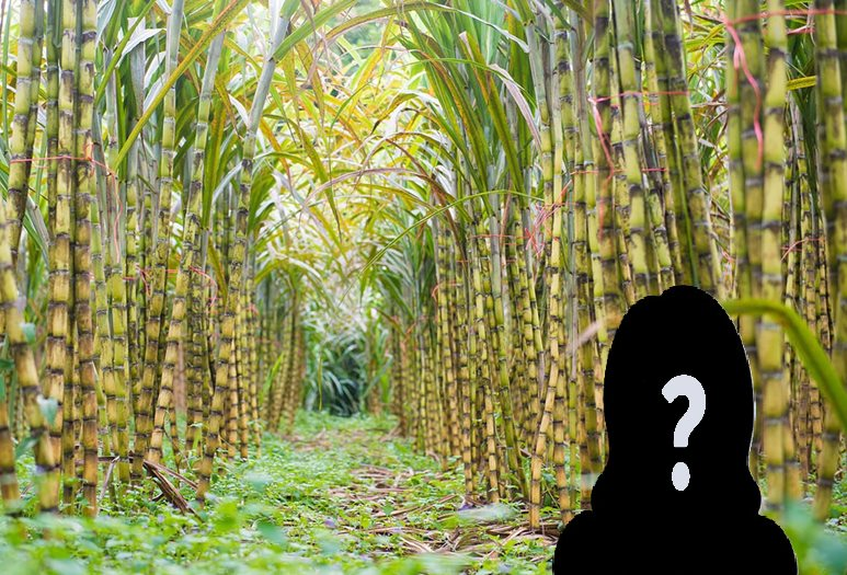 Cụ bà U90 sở hữu khối tài sản hơn 400 tỷ đồng, đút túi hơn 40 tỷ tiền cổ tức trong vòng 1 năm