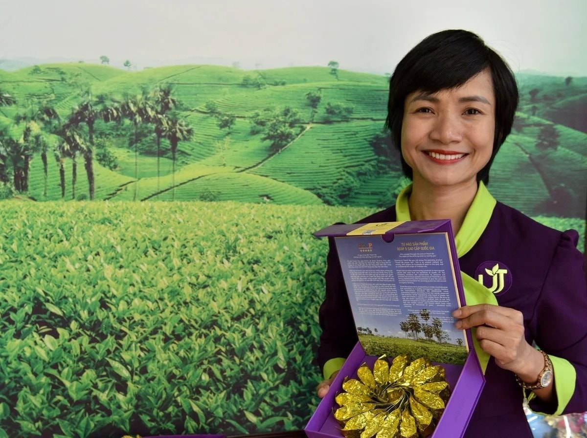 Hồi sinh loại cây từng bị đốn làm củi, chứa 'chất quý' gấp 135 lần bình thường, nữ giám đốc thu hơn 1 tỷ đồng/tấn