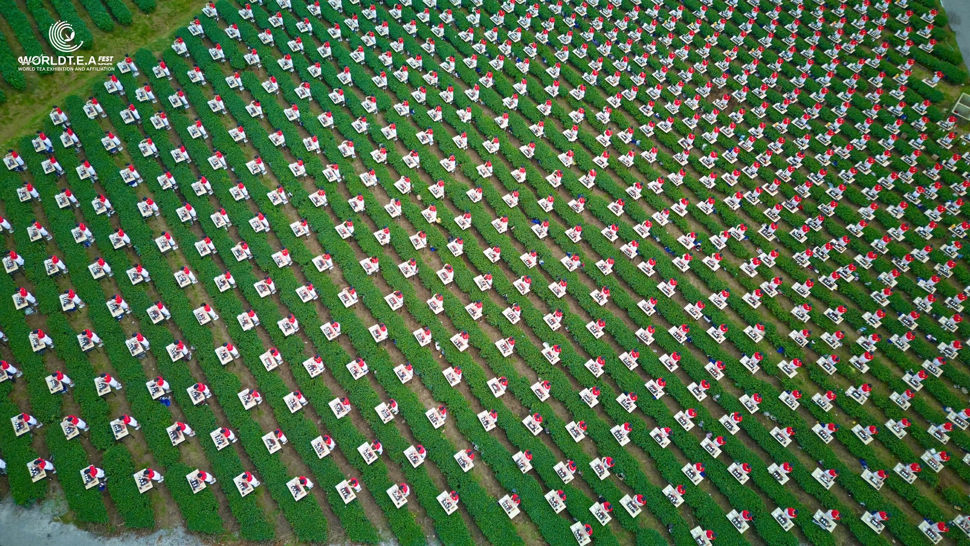 ‏Đô‏‏i D‏‏é‏‏p - Khi con ‏‏đườ‏‏ng kh‏‏ô‏‏ng c‏‏ó đè‏‏n ‏‏đỏ