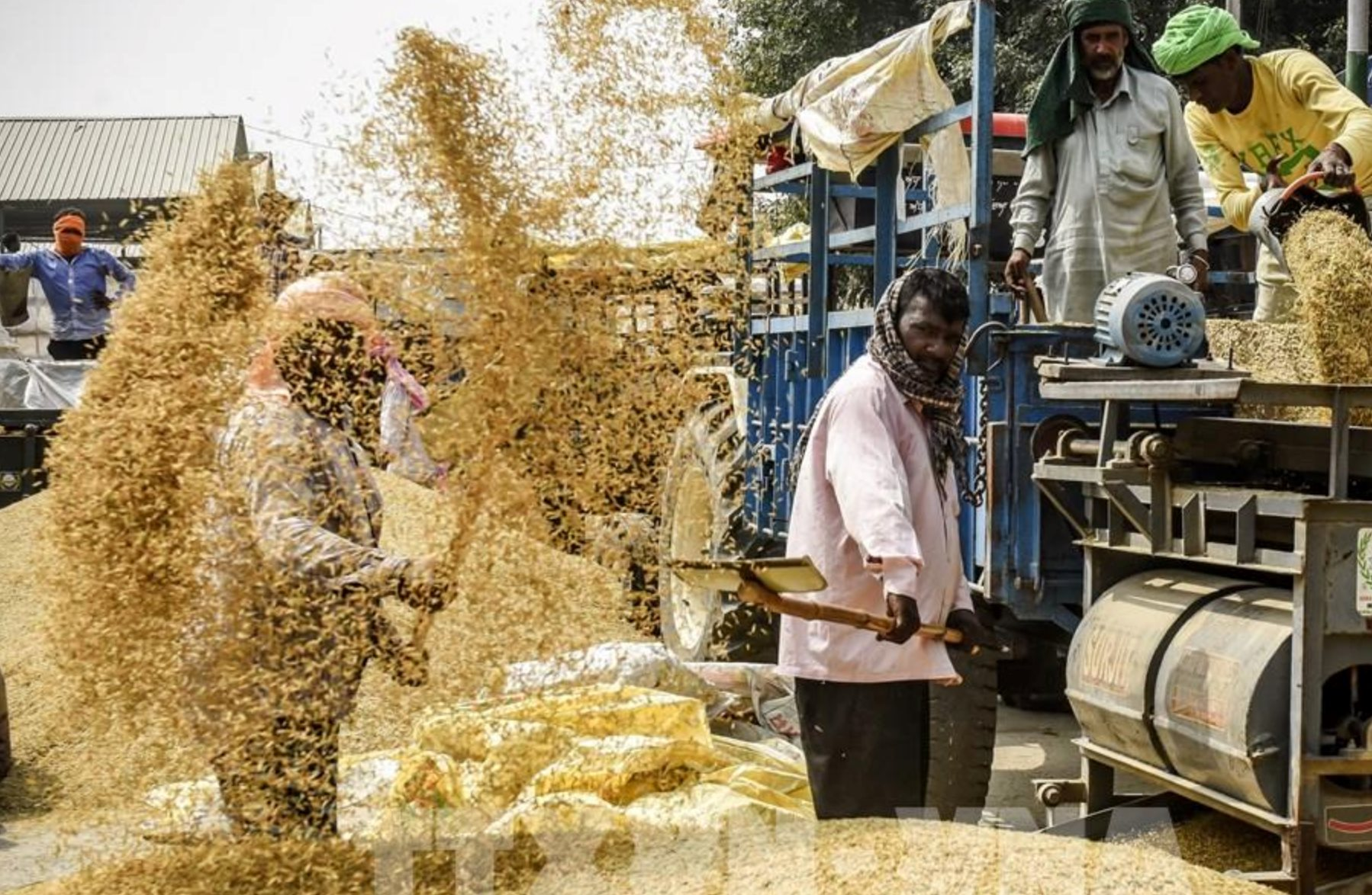 Quốc gia châu Á sản xuất 150 triệu tấn gạo/năm, vừa vượt Trung Quốc trở thành nhà cung cấp số 1 thế giới 