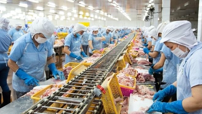 Con trai "vua cá rô phi" ra tay giải cứu cổ phiếu: Mua 1 triệu ANV khi giá rơi về mức thấp nhất 3 tháng