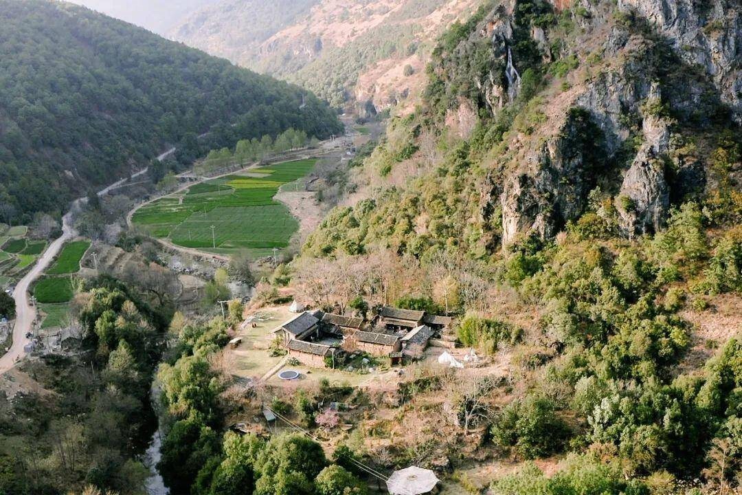 Mua nhà giữa rừng núi để "nghỉ hưu sớm bình yên", 3 năm sau, tôi đã phải trả giá vì sự ngây thơ ấy