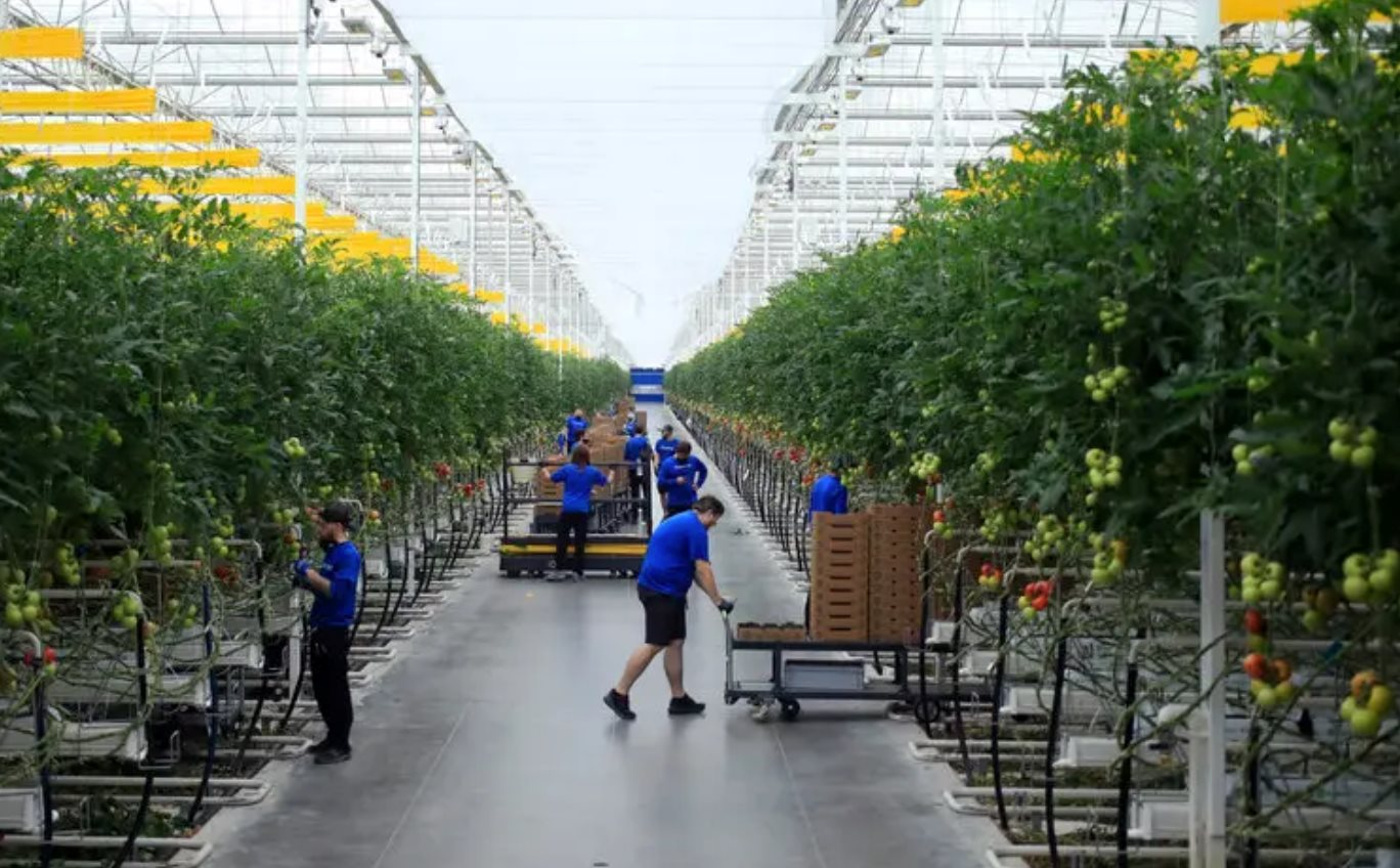 Cú rơi của những 'kỳ lân xanh': Phá sản dù từng huy động hàng trăm triệu USD, số công ty sống sót chỉ còn phân nửa