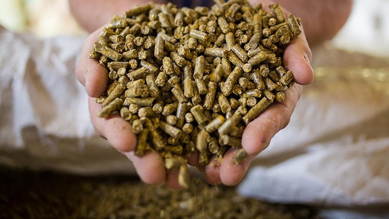 'Mỏ vàng' 250 triệu USD: Loại mặt hàng 'phụ phẩm' của Việt Nam đang được Trung Quốc săn đón ráo riết