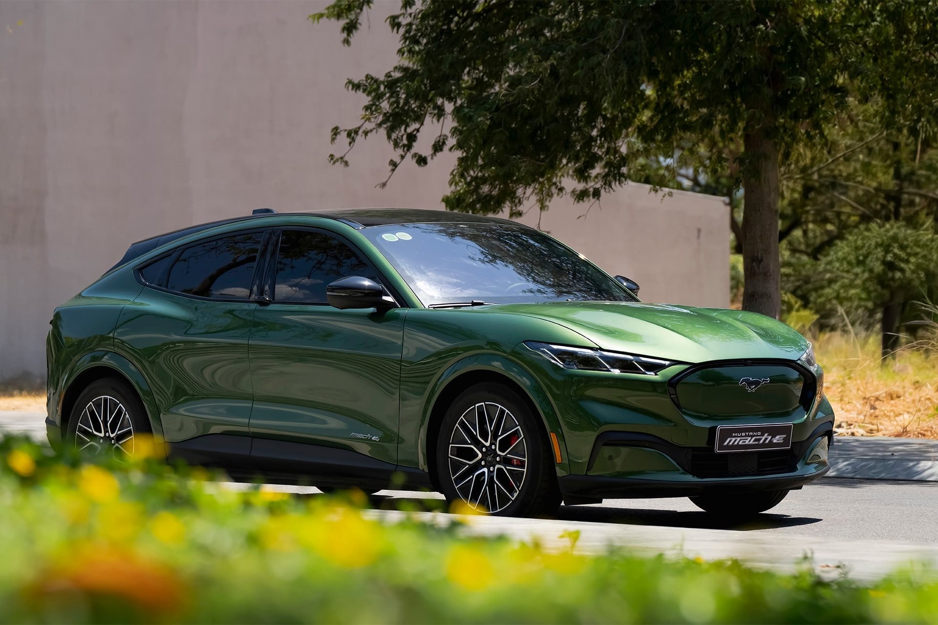 mustang-mach-e-1.jpg