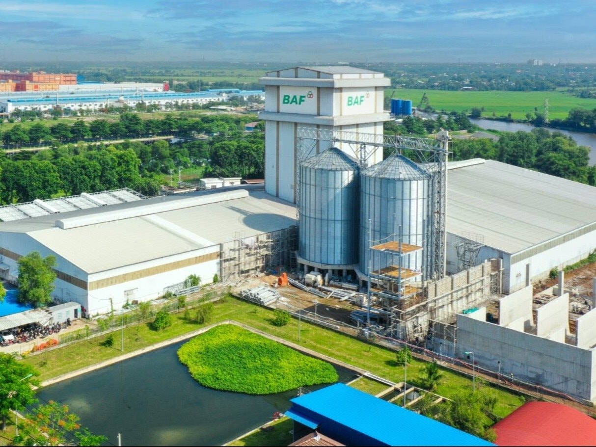 BAF muốn chia thưởng và trả cổ tức 20%, đưa CEO Siba Holdings vào Hội đồng quản trị