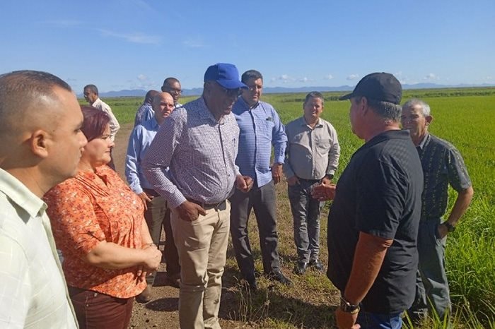 Cứ thứ Hai hàng tuần, nhiều người VN và nông dân Cuba cùng nhau làm 1 việc ý nghĩa trước khi ra cánh đồng