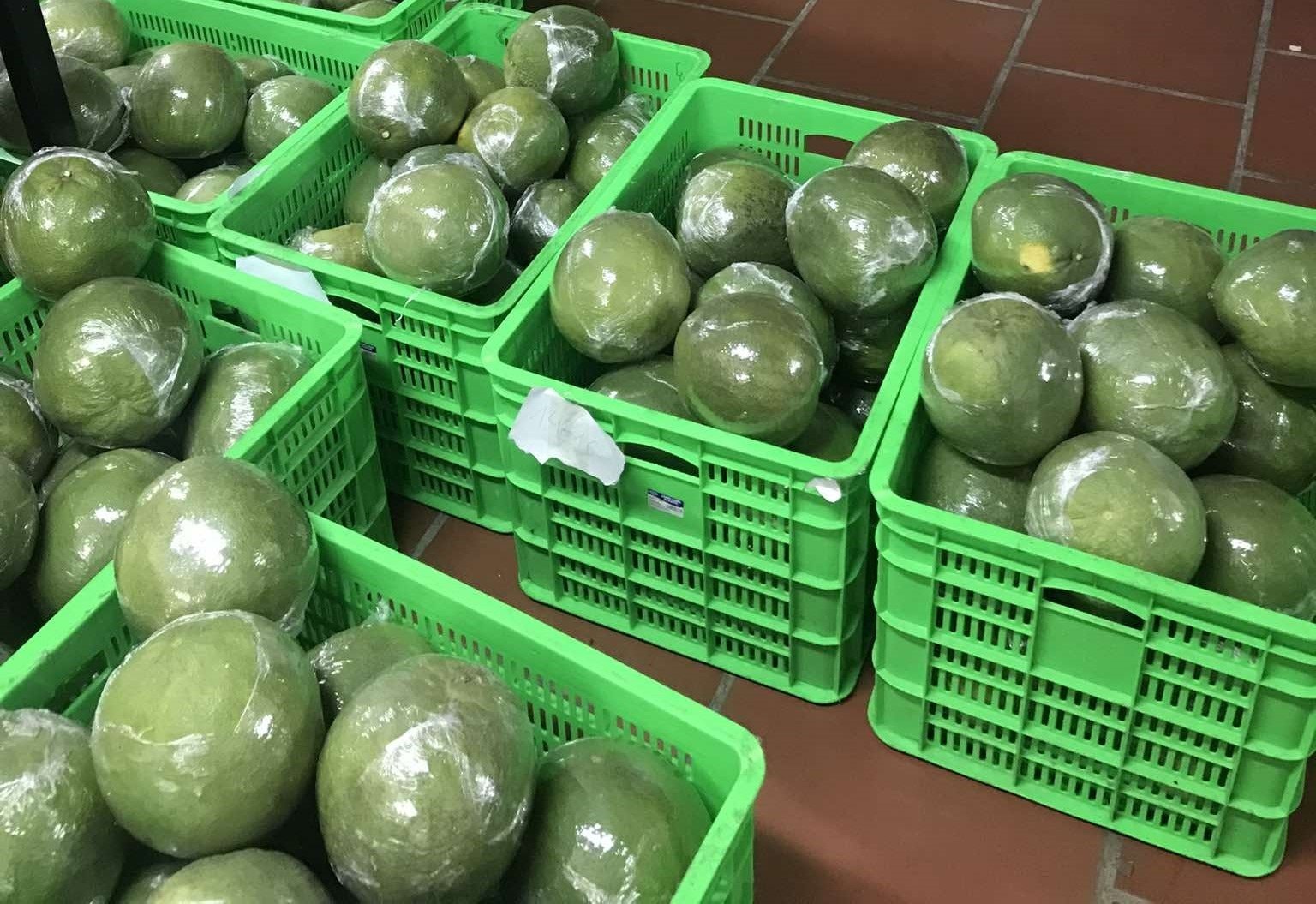 Tin vui: Loại quả Việt Nam trồng hơn 100.000 ha vừa chính thức có “visa” sang Trung Quốc