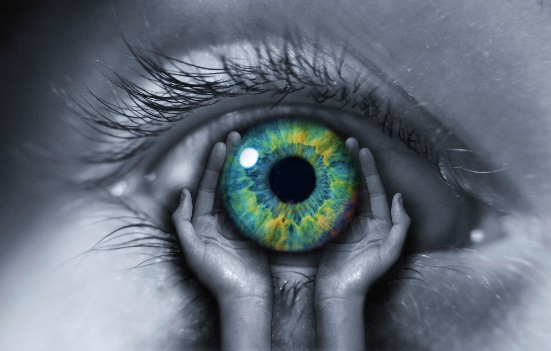 Ghép giác mạc lợn cho người, công ty Việt Nam sở hữu công nghệ cứu 500.000 người mù do bệnh lý