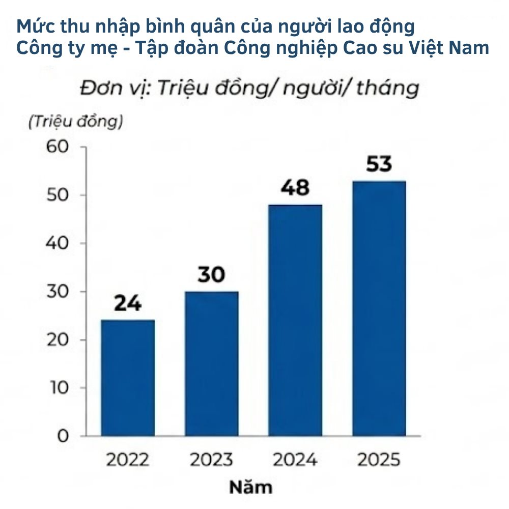 muc-thu-nhap-binh-quan-cua-nguoi-lao-dong-cong-ty-me-tap-doan-cong-nghiep-cao-su-viet-nam.png