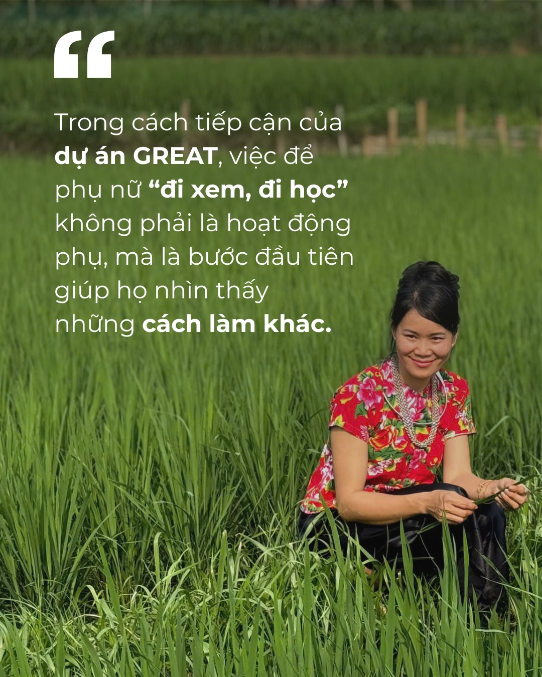 lan-dau-tien-chi-ngon-hien-da-la-chu-ho-kinh-doanh-com-mang-thuong-hieu-com-viet-dan-phat-trien-viec-kinh-doanh-tu-giong-lua-nep-ban-dia-cua-dia-phuong-hoc-cach-su-dung-mang-xa-hoi-chup-anh-5-.png