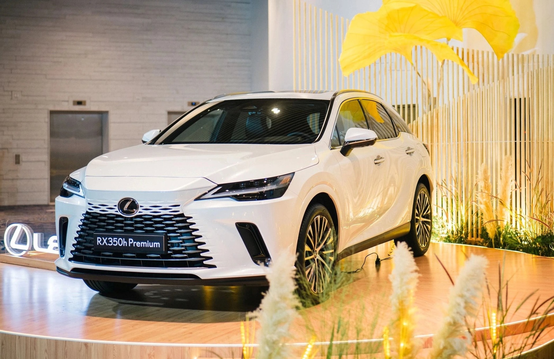 edit-lexus-thanhnien-4-1762183892734806677236_11zon.jpg