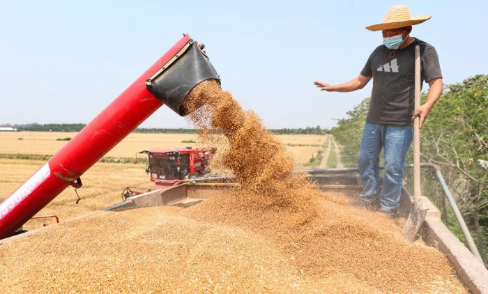 Không phải sầu riêng, Campuchia vừa đón tin cực vui ở mặt hàng đang cạnh tranh với Việt Nam - Trung Quốc góp công lớn