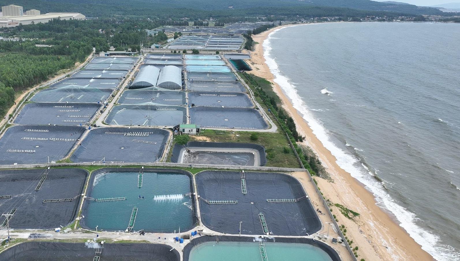 
Sở hữu đường bờ biển dài 82km nhưng chưa được kích hoạt hết tiềm năng, loạt 'ông lớn' đề xuất đầu tư cảng biển tại một tỉnh miền Trung, cạnh tranh cùng Nghi Sơn, Vũng Áng